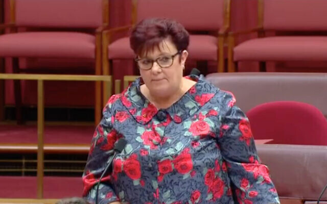 Senator Anne Urquhart. Photo: Screengrab Senator Anne Urquhart. Photo: Screengrab