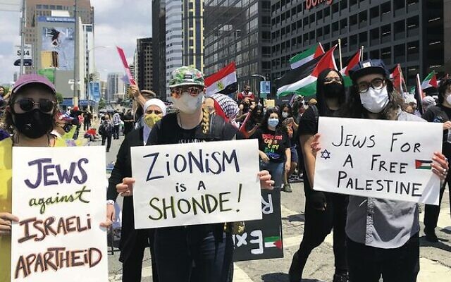 US Jews protesting against Israel earlier this year.Photo: Facebook/Jewish Voices for Peace US Jews protesting against Israel earlier this year.Photo: Facebook/Jewish Voices for Peace