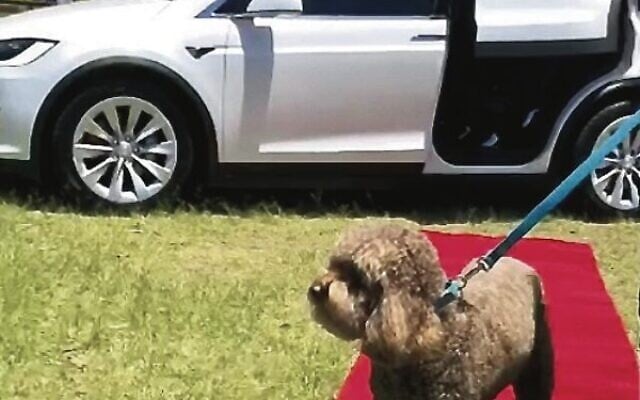Murray enjoying the red carpet treatment. Murray enjoying the red carpet treatment.
