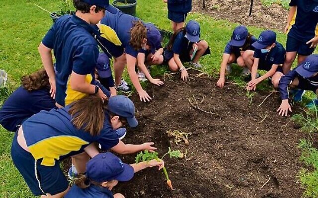 School students at Adamama Urban Farm. Photo: Supplied School students at Adamama Urban Farm. Photo: Supplied