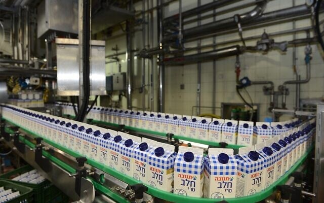 Tnuva’s dairy production line. (Tnuva) Tnuva’s dairy production line. (Tnuva)