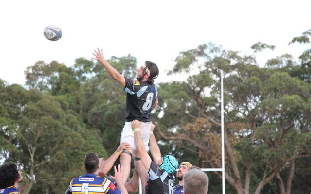 Maccabi's Aaron Stern flies high in a line-out. Photo: Shane Desiatnik Maccabi's Aaron Stern flies high in a line-out. Photo: Shane Desiatnik