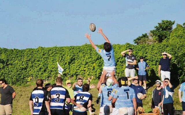 Aaron Stern wins a lineout for Maccabi versus the Sydney Convicts last Saturday. Aaron Stern wins a lineout for Maccabi versus the Sydney Convicts last Saturday.