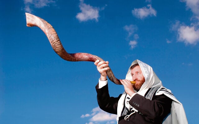 Sounding a Yemenite shofar Sounding a Yemenite shofar