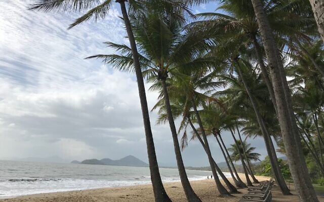 Palm Cove, situated north of Cairns. Palm Cove, situated north of Cairns.