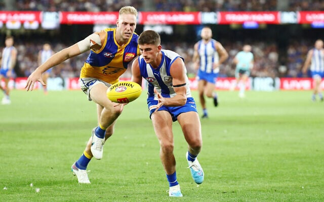 After just one game, Harry Sheezel has already become a cult figure at the club and is in line for the Round 1 NAB Rising Star nomination. Photo: Peter Haskin After just one game, Harry Sheezel has already become a cult figure at the club and is in line for the Round 1 NAB Rising Star nomination. Photo: Peter Haskin