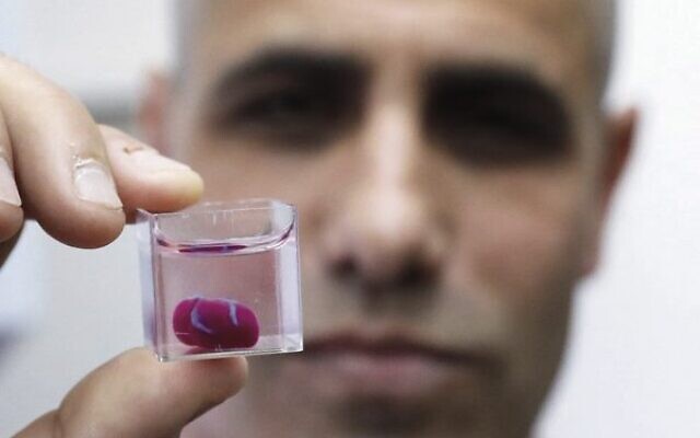 Professor Tal Dvir presents a 3D print of a heart with human tissue at Tel Aviv University on April 15, 2019. Photo: Jack Guez/AFP Professor Tal Dvir presents a 3D print of a heart with human tissue at Tel Aviv University on April 15, 2019. Photo: Jack Guez/AFP