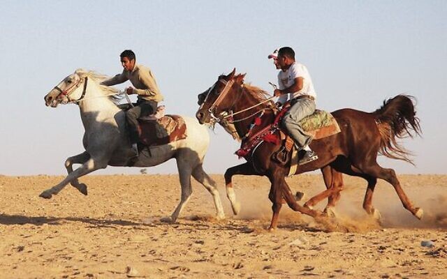 Bedouins racing their horses in the south. Photo: Peter Haskin Bedouins racing their horses in the south. Photo: Peter Haskin