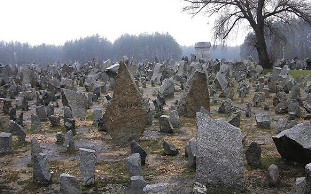 Memorial stones at the site of Treblinka in Poland. Photo: Adrian Grycuk/Wikimedia Commons Memorial stones at the site of Treblinka in Poland. Photo: Adrian Grycuk/Wikimedia Commons