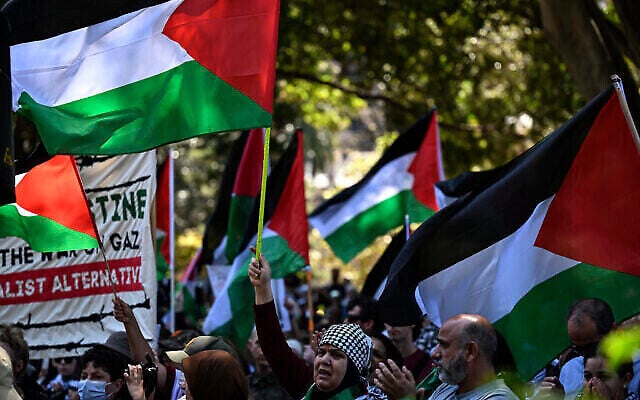 People with placards and flags attend a pro-Palestinian rally at Hyde Park in Sydney on October 15, 2023. (The Times of Israel: Saeed Khan/AFP) People with placards and flags attend a pro-Palestinian rally at Hyde Park in Sydney on October 15, 2023. (The Times of Israel: Saeed Khan/AFP)
