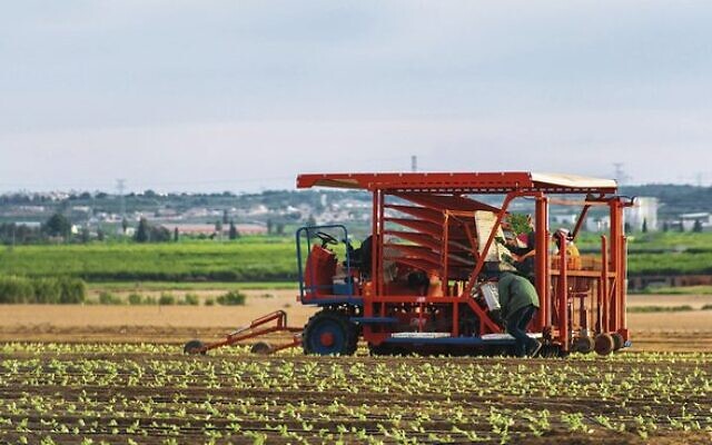 Photo: Israel Trade Commission. Photo: Israel Trade Commission.