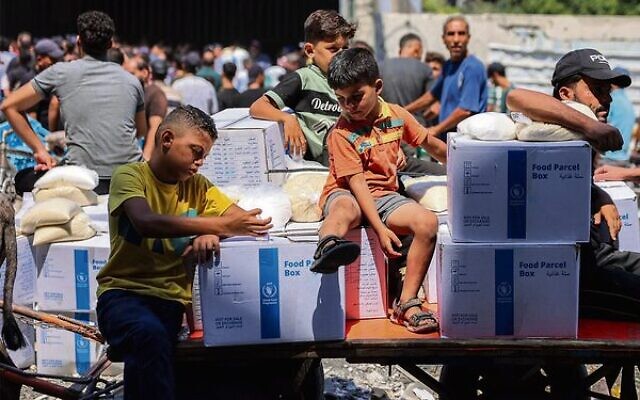 Boys sit on a cart with aid packages provided by UNRWA in central Gaza City in August, 2024. Photo: Omar Al-Qattaa/AFP Boys sit on a cart with aid packages provided by UNRWA in central Gaza City in August, 2024. Photo: Omar Al-Qattaa/AFP