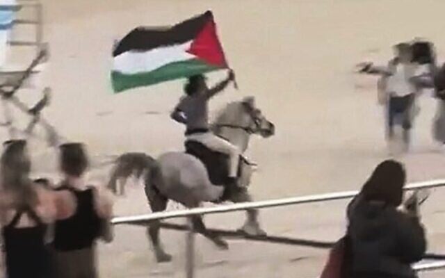 Bondi Beach horse stunt. Photo: Screenshot Bondi Beach horse stunt. Photo: Screenshot