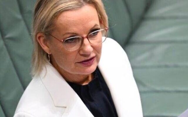 Opposition leader Sussan Ley Opposition leader Sussan Ley