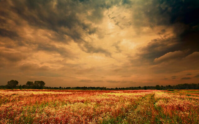On Shmini Atzeret we pray for rain. Photo: Sergey76/Dreamstime.com On Shmini Atzeret we pray for rain. Photo: Sergey76/Dreamstime.com