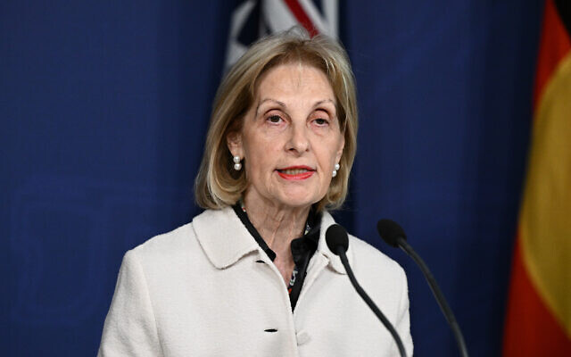 Special Envoy to Combat Antisemitism Jillian Segal speaks to media during a press conference with Prime Minister Anthony Albanese on July 10, 2025. Photo:AAP Image/Dan Himbrechts. Special Envoy to Combat Antisemitism Jillian Segal speaks to media during a press conference with Prime Minister Anthony Albanese on July 10, 2025. Photo:AAP Image/Dan Himbrechts.
