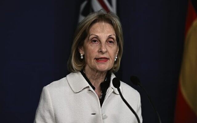 Special Envoy to Combat Antisemitism Jillian Segal speaks to media in July. Photo: AAP Image/Dan Himbrechts. Special Envoy to Combat Antisemitism Jillian Segal speaks to media in July. Photo: AAP Image/Dan Himbrechts.