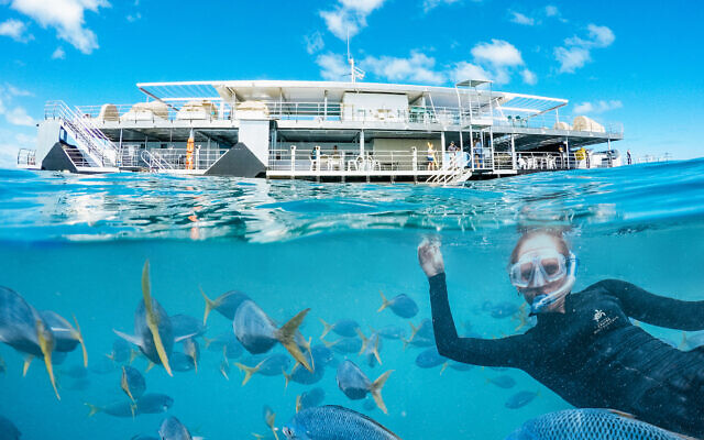Reefworld on the Great Barrier Reef is undergoing a multi-million-dollar refurbishment. Photo: Journey Beyond Reefworld on the Great Barrier Reef is undergoing a multi-million-dollar refurbishment. Photo: Journey Beyond