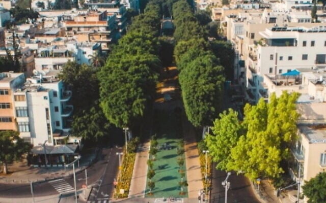 Rothschild Boulevard. Photo: Instagram Rothschild Boulevard. Photo: Instagram