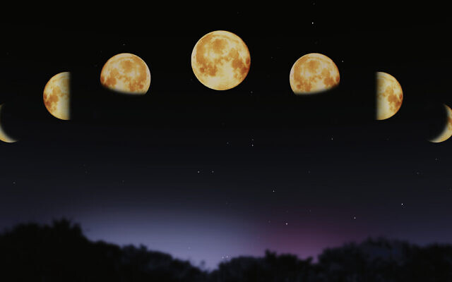 Phases of our lunar calendar. Photo: Cornelius20/Dreamstime.com Phases of our lunar calendar. Photo: Cornelius20/Dreamstime.com