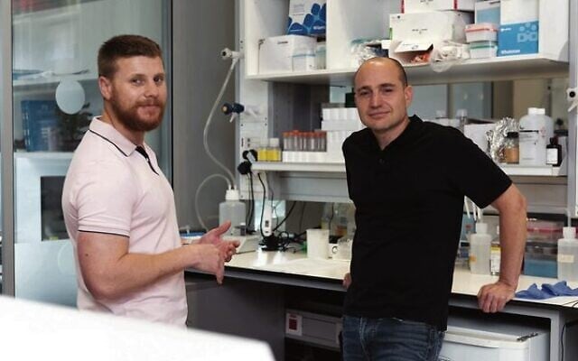 Dr Nachum Nathan (left) and Professor Ziv Shulman of Weizmann Institute of Science. Photo: Courtesy Dr Nachum Nathan (left) and Professor Ziv Shulman of Weizmann Institute of Science. Photo: Courtesy