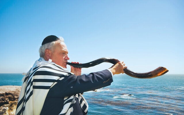Photo: Adeliepenguin/Dreamstime.com Photo: Adeliepenguin/Dreamstime.com