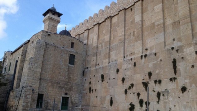 مغارة الاولياء في الحرم الابراهيمي الشريف في الخليل (بعدسة الحانان ميلر/ طاقم تايمز أوف اسرائيل) مغارة الاولياء في الحرم الابراهيمي الشريف في الخليل (بعدسة الحانان ميلر/ طاقم تايمز أوف اسرائيل)