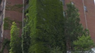 The Pittsburgh Mattress Factory building (screen capture: YouTube)