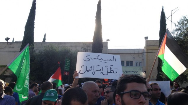 متظاهر يحمل لافتة "السيسي بطل اسرائيل" في الناصرة ٢١ يوليو ٢٠١٤ (الحانان ميلر)