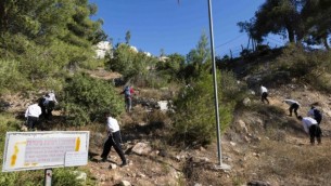 متطوعون يبحثون عن ارون سوفير في منطقة القدس، الثلاثاء 26 اغسطس 2014 (فلاش 90)