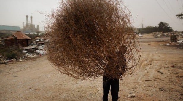 صبي بدوي يمشي مع الأغصان اليابسة خلال عاصفة رملية في وادي النعم، وهي قرية البدوية غير المعترف بها في صحراء النقب قرب بئر السبع الشمالية، 6 يناير 2015 AFP/MENAHEM KAHANA