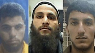 المشتبه بهم خلية الدولة الاسلامية في الضفة الغربية احمد شحادة (يسار) قصي مسودة (مركز) ومحمد زور ( Shin Bet press release)