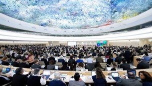 اجتماع لمجلس حقوق الانسان للأمم المتحدة في عام 2013 (UN Photo/Jean-Marc Ferré)
