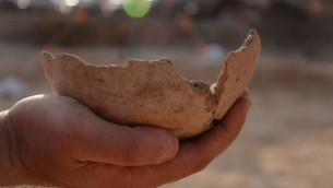 إحدى القطع الأثرية التي تم اكتشافها في بيت جعة مصري في تل ابيب. (سلطة الآثار الإسرائيلية)
