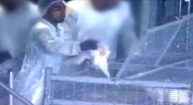 صور إلتقطتها كاميرا خفية في مصنع زوغلوفيك في شلومي، شمال إسرائيل (أخبار القناة 10)