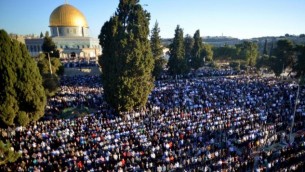 آلاف المصلين المسلمين يصلون خارج المسجد الأقصى في البلدة القديمة في القدس خلال عيد الأضحى في أكتوبر، 2014. ( Sliman Khader/FLASH90)