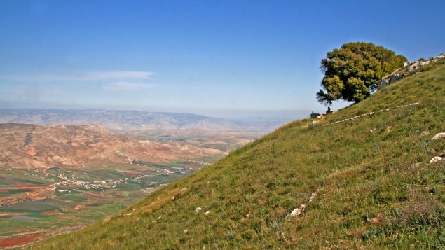 وادي الفارعة في الضفة الغربية (Tamar Hayardeni/Wikimedia Commons)