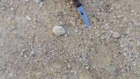 السكين المستخدم في هجوم الطعن في ابو ديس، 11 نوفمبر 2015 (United Hatzalah) السكين المستخدم في هجوم الطعن في ابو ديس، 11 نوفمبر 2015 (United Hatzalah)