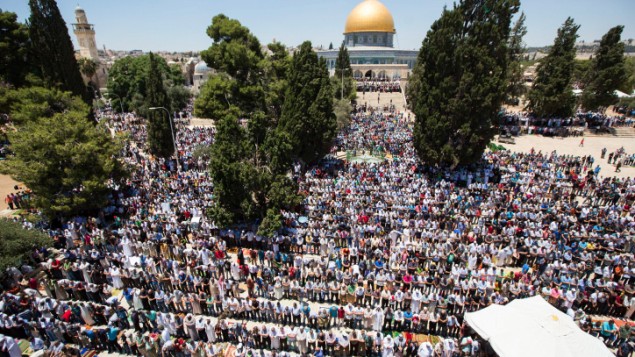 آلاف المصلين المسلمين أمام قبة الصخرة في المكان الذي يُعرف لدى المسلمين ب’الحرم الشريف’ ولدى اليهود ب’جبل الهيكل’، خلال صلاة الجمعة الثانية من شهر رمضان في البلدة القديمة بمدينة القدس، 17 يونيو، 2016. (Suliman Khader/Flash90) آلاف المصلين المسلمين أمام قبة الصخرة في المكان الذي يُعرف لدى المسلمين ب’الحرم الشريف’ ولدى اليهود ب’جبل الهيكل’، خلال صلاة الجمعة الثانية من شهر رمضان في البلدة القديمة بمدينة القدس، 17 يونيو، 2016. (Suliman Khader/Flash90)