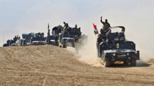 القوات العراقية تسيطر على موقع بالقرب من قرية تل طيبة، على بعد حوالي 30 كلم جنوبي الموصل، 19 أكتوبر، 2016. (AFP PHOTO / AHMAD AL-RUBAYE)