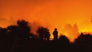 إشتعال النيران بالقرب من نيفيه شالوم، 22 نوفمبر، 2016. (Jerusalem Firefighters)
