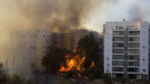 حريق في مدينة حيفا، 24 نوفمبر 2016 (AFP PHOTO / Jack GUEZ)