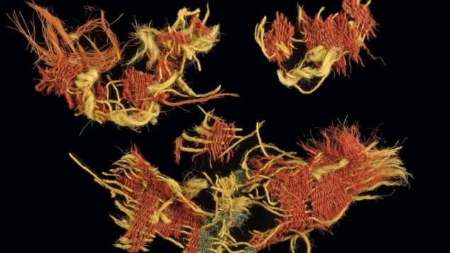 تكبير ميكروسكوبي لنسيج مصبوغ باللون الاحمر من وادي تمناع (photo taken with Dino-Lite microscope, Dr. Naama Sukenik, Israel Antiquities Authority)