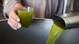 يتم سحق الزيتون لصناعة زيت الزيتون في قرية بيت علا بالقرب من الخليل في الضفة الغربية، في 24 أكتوبر / تشرين الأول 2010. (Najeh Hashlamoun/Flash90)