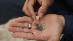 مجموعة من  الختم. (Clara Amit, Antiquities Authority)