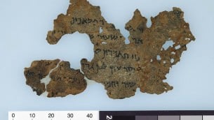 جزء من مخطوطات البحر الميت لكتاب سفر التكوين، وهو جزء من مشروع أبحاث متحف الكتاب المقدس  الذي نشرته بريل في عام 2016. من أصل 13 مخطوطات منشورة، ستة على الأقل مشكوك في أصالتها. (Image by Bruce and Kenneth Zuckerman and Marilyn J. Lundberg, West Semitic Research, courtesy of Museum of the Bible)