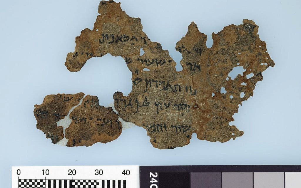 جزء من مخطوطات البحر الميت لكتاب سفر التكوين، وهو جزء من مشروع أبحاث متحف الكتاب المقدس الذي نشرته بريل في عام 2016. من أصل 13 مخطوطات منشورة، ستة على الأقل مشكوك في أصالتها. (Image by Bruce and Kenneth Zuckerman and Marilyn J. Lundberg, West Semitic Research, courtesy of Museum of the Bible) جزء من مخطوطات البحر الميت لكتاب سفر التكوين، وهو جزء من مشروع أبحاث متحف الكتاب المقدس الذي نشرته بريل في عام 2016. من أصل 13 مخطوطات منشورة، ستة على الأقل مشكوك في أصالتها. (Image by Bruce and Kenneth Zuckerman and Marilyn J. Lundberg, West Semitic Research, courtesy of Museum of the Bible)