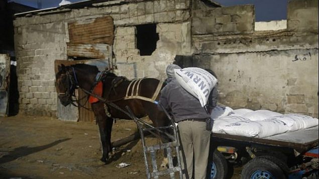 رجل فلسطيني يحمّل عربة يجرها حصان بمساعدات غذائية خارج مركز توزيع الأغذية التابع للأمم المتحدة في مدينة غزة في 15 يناير / كانون الثاني 2018. (AFP Photo/Mohammed Abed)