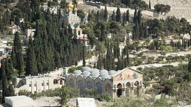 صورة للتوضيح: صورة لبستان جثسيماني وكنيسة مريم المجدلية في القدس. (Sebi Berens/Flash90)