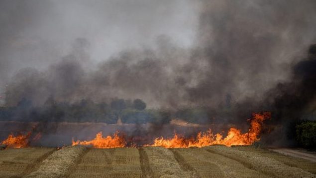 طواقم الإطفاء تعمل على إخماد النيران في حقل قمح ناجم عن تطيير طائرات ورقية من قبل متظاهرين فلسطينيين، بالقرب من الحدود مع قطاع غزة، 30 مايو، 2018.(Yonatan Sindel/Flash90)